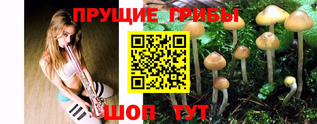 Псилоцибиновые грибы мухоморы Лесной